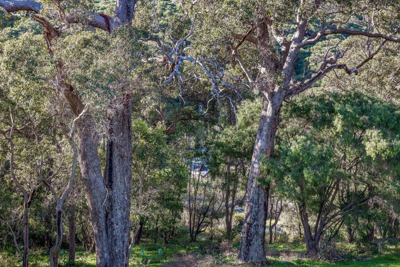 Glennishka Βίλα Margaret River Εξωτερικό φωτογραφία